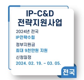 IP-C&D전략지원사업 2024년 지원기업 모집 공고